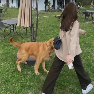 迷走星球