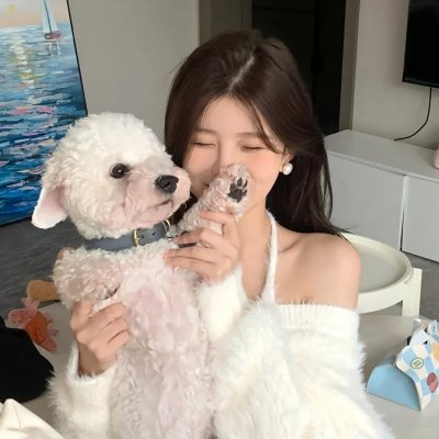 最后的气宗